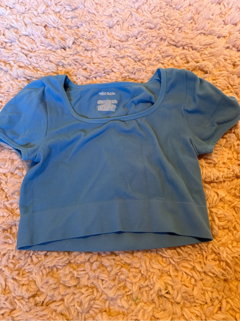 wild fable Light Blue Ribbed Scoop Neck Crop Top